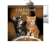Calendrier Mural 12 Mois De Motifs De Chats Ludiques, Planificateur