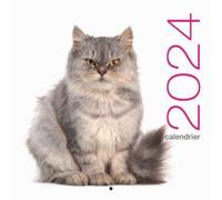 Calendrier mural 2024 Chats - Collectif - White Star Eds - broché - Calendrier
