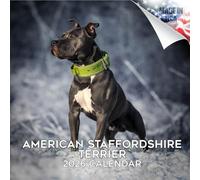 Calendrier mural 2025 2026 American Staffordshire Terrier - Calendrier mural mensuel de race de chien - 30,5 x 61 cm ouvert - Papier épais sans bavure - Cadeau - Calendrier de planification et