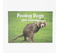 Calendrier mural 2025 A4 amusant avec crottes de chien - Affichage mensuel par mois - Format A3 - À suspendre - Pour la maison et le bureau