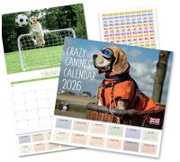 Calendrier mural 2025 A4 Chiens Crazy Canines Affichage mensuel A3 ouvert Calendrier mural Motif chiens Absolutely Yours.