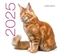 Calendrier mural 2025 Chats
