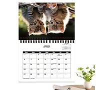 Calendrier mural 2025 chats 2025 Calendrier mural carré 2024 Calendrier mural familial 2024, 11,22 x 8,27 x 0,2 pouces, planificateur de 12 mois, jolie photo