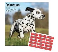 Calendrier mural 2025 - Chiots dalmatien - 16 mois - Avec autocollants de rangement