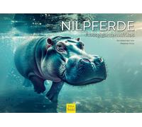Calendrier Mural 2025 De Qualité Supérieure - Format A3 - Motif Hippopotame - Format A3 - Afrique - Hippopotame - Nil - Animaux Sauvages - Mélanie Viola