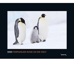 Calendrier mural 2025 - Familles d'animaux autour du monde