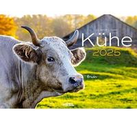 Calendrier mural 2025 vaches : le calendrier animal avec les noms charmants