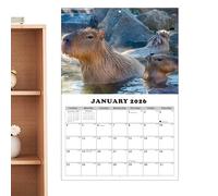 Calendrier mural 2026-2027 avec division mensuelle | Planificateur avec grands blocs lignés au design Capybara | Calendrier mural mensuel pour les années 2026-2027, pour la maison, les écoles, les
