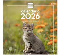 Calendrier mural 2026 30 x 30 cm, vue mois janvier - décembre 2026 + septembre. Déc. 2025 (4 mois) réduits | Calendrier 2026 [A2]