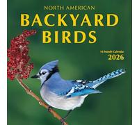 Calendrier mural 2026 à suspendre avec oiseaux de jardin - Cadeau d'observation des oiseaux - Forêt et nature - Père Noël secret - Bureau (2026 oiseaux de jardin)