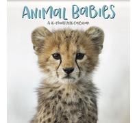 Calendrier mural 2026 Animaux Bébés