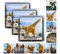 Calendrier mural 2026 avec chat - Calendrier mural 2025-2026 - Calendrier mural 2025-2026 - Cadeau idéal pour les amoureux des chats (3 pièces)