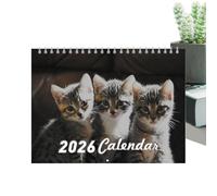 Calendrier mural 2026 avec chats amusants 2026 - Planificateur de 12 mois avec papier solide - Pour l'organisation de la maison et du bureau