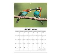 Calendrier mural 2026 avec colibri - Calendrier mensuel avec colibris - Janvier 2026 à janvier 2027 - Calendrier mural pour les amoureux de la nature, les amis des oiseaux, la maison, le bureau