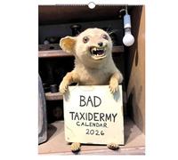 Calendrier mural 2026 avec photos insolites et absurdes d'animaux mutilés ou taxidermies grotesques, humour noir pour la maison, cadeau humoristique avec éléphant blanc
