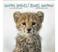Calendrier mural 2026 Bébés animaux (bilingue français)