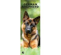 Calendrier mural 2026 Berger allemand, format fin 12 mois, fabriqué en Angleterre