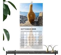 Calendrier mural 2026, calendrier 2026 avec boules de chat, outil de planification familiale, organisateur pour réfrigérateur, bureau, cuisine, salon, bureau