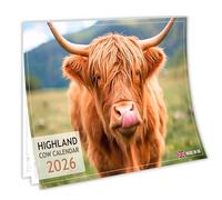 Calendrier mural 2026 - Calendrier mural A4 ouvert au format A3, adorable photographie de vache des Highlands, papier de soie 150 g/m², calendrier pour la maison ou le bureau, jours fériés