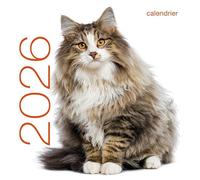 Calendrier mural 2026 - Chats