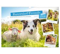 Calendrier mural 2026 DIN A3 paysage, motif chiens et leurs amitiés animales, calendrier mensuel CALVENDO