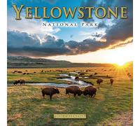 Calendrier mural 2026 du parc national de Yellowstone