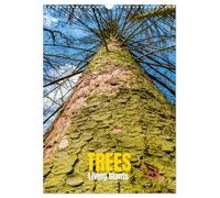 Calendrier mural 2026 format A3 portrait, arbre vivant, géants vivants, calendrier mural CALVENDO 12 mois