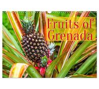 Calendrier mural 2026 - Fruits de Grenade - Format A3 paysage - Calendrier mural 12 mois - Format CALVENDO