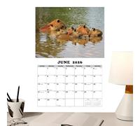 Calendrier mural 2026 - Illustrations d'animaux en anglais - Calendrier mensuel - Pour salle de ortoir, salon, chambre à coucher, bureau, étudiants, enfants et adolescents