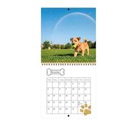 Calendrier mural 2026 sur le thème des chiots - 12 mois de janvier à décembre - Avec marquage de date pour planification quotidienne hebdomadaire - Calendrier mural de race de chien