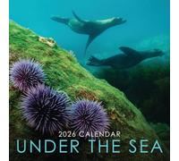 Calendrier mural 2026 Under the Sea 30,5 x 30,5 cm carré à suspendre avec superbe photographie sous-marine de la vie marine - Sans plastique, respectueux de l'environnement - Planificateur quotidien