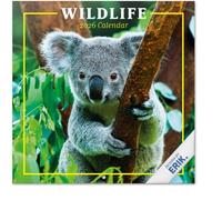 Calendrier Mural 2026 Vie Sauvage | Calendrier Mensuel 2026-30x60cm - De Janvier à Décembre