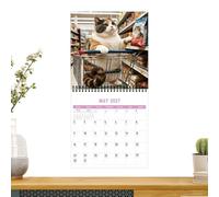 Calendrier Mural 2027 12 Mois Thème Chatons Déco Maison