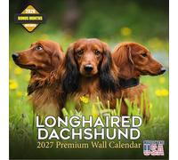 Calendrier mural 2027 à poils longs teckel 16 mois 2026 2027 | Cadeau pour amoureux des chiens, papier épais 100 # sans bavure, grands blocs d'écriture, fabriqué aux États-Unis, décoration de chien