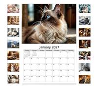 Calendrier Mural 2027 De Janvier À Décembre Planificateur De Bureau En 12 | Calendrier Mural À Grille Large Pour Bureau École Maison Lecture Étude Tâche Exercice Sport Vacances Fête Anniversa Chat