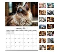 Calendrier Mural 2027 Organisateur De Bureau En À Suspendre Grand Format 12 | Calendrier Agenda Annuel Pour Bureau École Maison Lecture Étude Tâche Exercice Sport Vacances Fête Anniversaire Chat