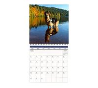 Calendrier mural 2027 Planner Grandes Cases Dates Gestion du Temps