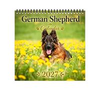 Calendrier mural 2027 Planner Grandes Cases Dates Gestion du Temps