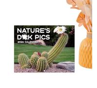 Calendrier mural amusant 2026 | Planificateur mensuel ciblé de 12 mois | Calendrier mural décoratif pour bureau, maison, lieu de travail, dortoir, salle de sport, école, vacances, adultes, femmes