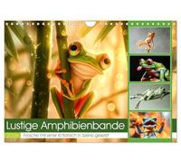 Calendrier mural amusant avec bande amphibienne (calendrier mural 2026 DIN A4 paysage) calendrier mensuel CALVENDO