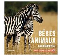 Calendrier mural Bébés animaux 2024