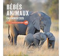 Calendrier mural Bébés Animaux 2026