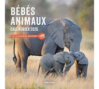 Calendrier mural Bébés Animaux 2026
