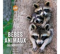Calendrier mural Bébés Animaux 2027 - Collectif - Hugo Image - broché - Calendrier