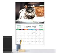 Calendrier mural, calendrier artistique mensuel pour mur, agenda avec carte amusante, pour , maison, dortoir, école, appartement familial, enseignants, chambre à coucher, cuisine, étudiants