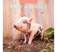 Calendrier mural carré 2026 Bébé Animaux Red Robin Publishing