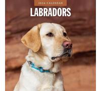 Calendrier mural carré 2026 Labradors Red Robin Publishing