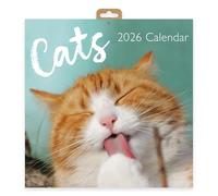 Calendrier mural carré 2026 motif chats | Planificateur mensuel avec adorable photographie de chat et chaton | Calendrier pour animaux de compagnie mignons