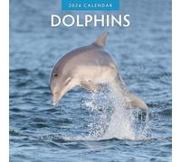 Calendrier mural carré 2026 Motif dauphins Red Robin Publishing