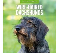 Calendrier mural carré 2026 Motif teckels à poils métalliques Red Robin Publishing